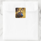 Lycaon Pictus Vierkante Sticker (Tas)