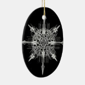 Lychnaspis miranda Ernst Haeckel Fine Art Keramisch Ornament (Rechts)