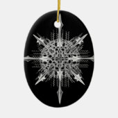 Lychnaspis miranda Ernst Haeckel Fine Art Keramisch Ornament (Voorkant)