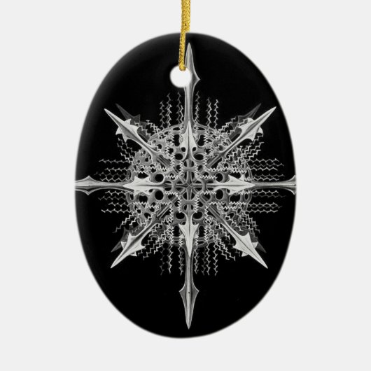 Lychnaspis miranda Ernst Haeckel Fine Art Keramisch Ornament (Voorkant)