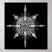 Lychnaspis miranda Ernst Haeckel Fine Art Poster (Voorkant)