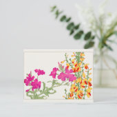 Lychnis coronaria, Cytisus van Tanigami Konan Briefkaart (Staand voorkant)