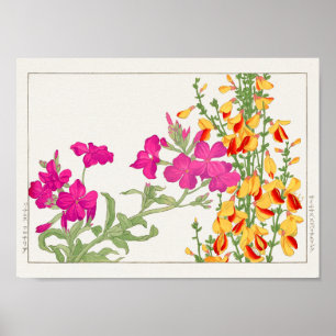 Lychnis coronaria, Cytisus van Tanigami Konan Poster