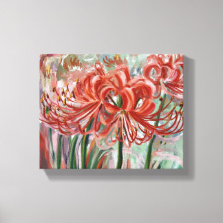 Lycoris radiata in bloei canvas afdruk
