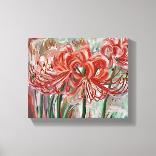 Lycoris radiata in bloei canvas afdruk (Voorkant)