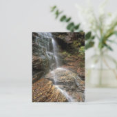 Lye Brook Herfsten Vermont Briefkaart (Staand voorkant)