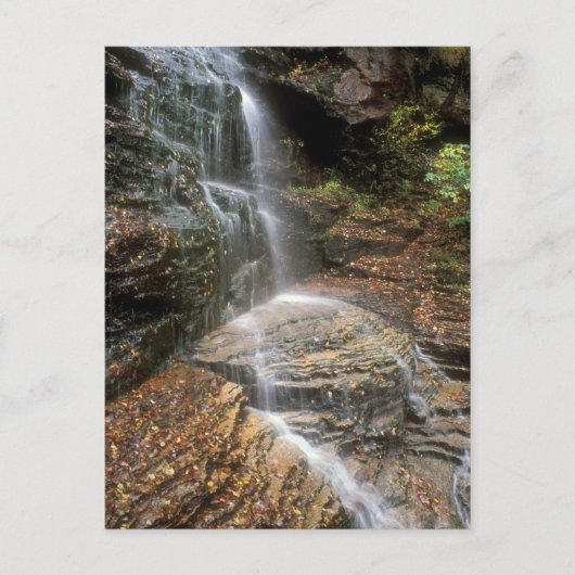 Lye Brook Herfsten Vermont Briefkaart (Voorkant)
