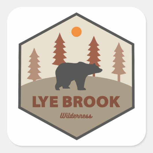 Lye Brook Wilderness Vermont Beer Vierkante Sticker (Voorkant)