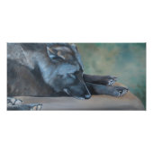 Lying Black Wolf Art Photo Print Foto Afdruk (Voorkant)