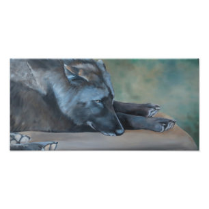 Lying Black Wolf Art Photo Print Foto Afdruk