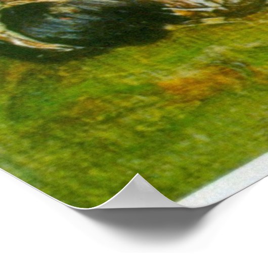 Lying Koe by Vincent van Gogh Poster (Hoek)