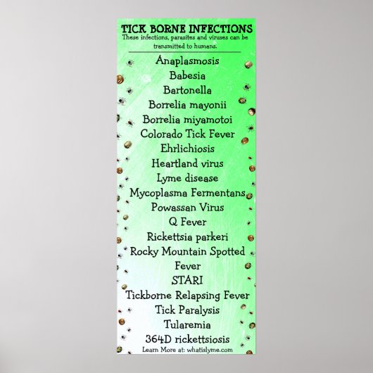 Lyme Disease Awareness Tick Poster (Voorkant)