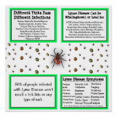 Lyme Disease Information Poster (Voorkant)