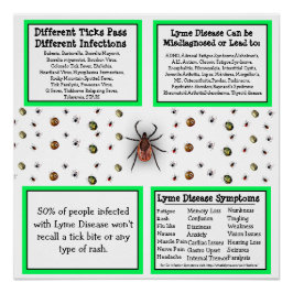 Lyme Disease Information Poster