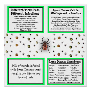 Lyme Disease Information Poster
