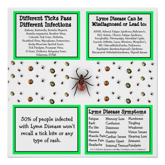 Lyme Disease Information Poster (Voorkant)