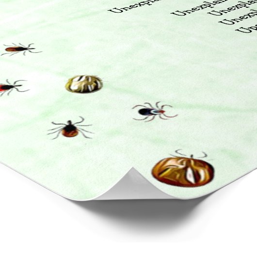 Lyme Disease Symptomen Grafiek Poster (Hoek)