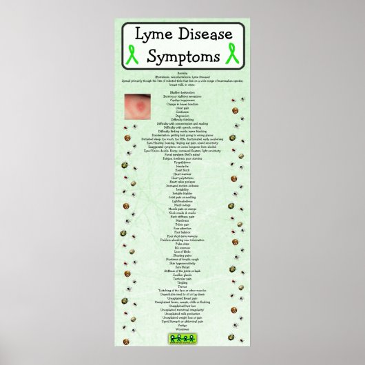 Lyme Disease Symptomen Grafiek Poster (Voorkant)