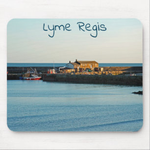 Lyme Regis Cobb Muismat