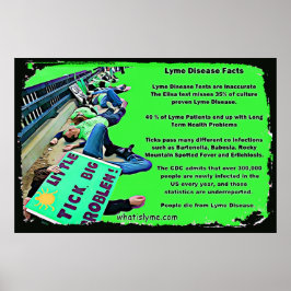 Lyme-ziekte feitenposter poster