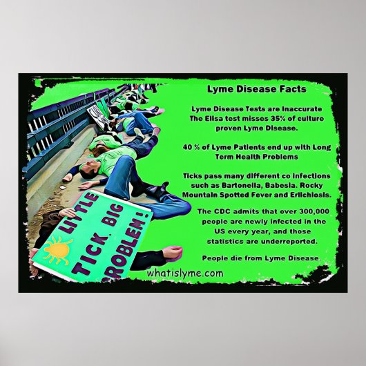 Lyme-ziekte feitenposter poster (Voorkant)