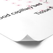 lymfevloeistof wisselend met het opschrift diagram poster (Hoek)