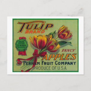 Lynden, WashingtonTulip Apple Crate Label Briefkaart
