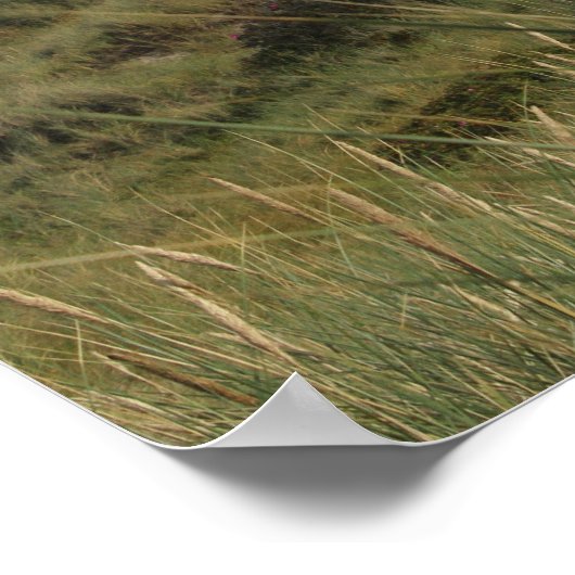 Lyngvig Fyr, Lighthouse, Ringkobing, Denemarken Poster (Hoek)