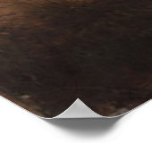 Lynn Meadows Poster (Hoek)