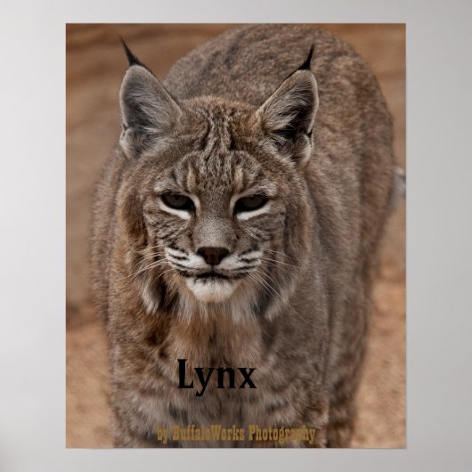 Lynx 5214 poster (Voorkant)