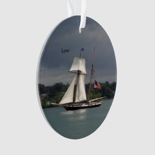 Lynx-acrylversiering Ornament (voorkant)