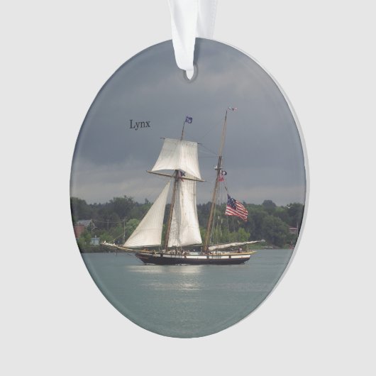 Lynx-acrylversiering Ornament (voorkant)