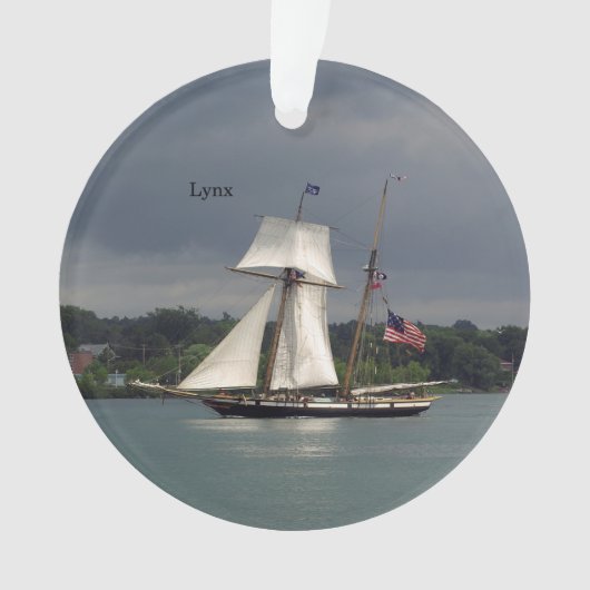 Lynx-acrylversiering Ornament (voorkant)