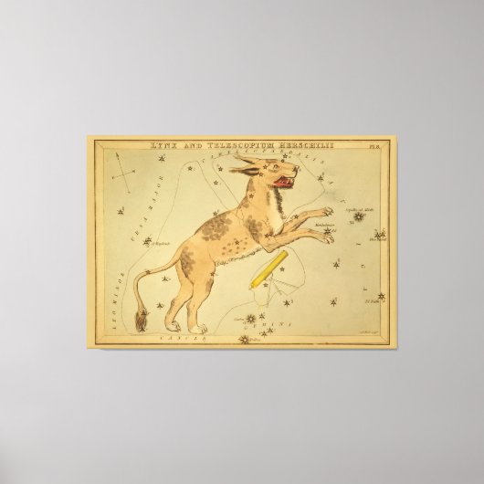 Lynx -  Astronomisch Star Chart Afbeelding Canvas Afdruk (Voorkant)