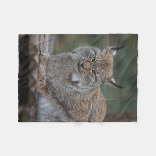 Lynx bekijkt u fleece deken (Voorkant (Horizontaal))