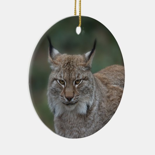 Lynx bekijkt u keramisch ornament (Rechts)