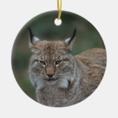 Lynx bekijkt u keramisch ornament (Voorkant)