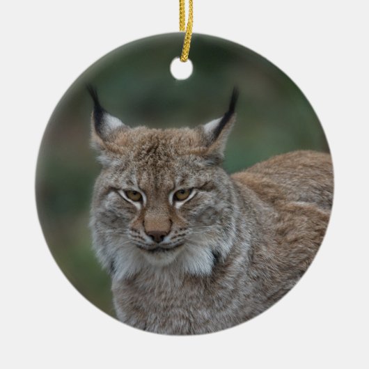 Lynx bekijkt u keramisch ornament (Voorkant)
