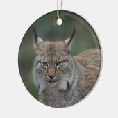 Lynx bekijkt u keramisch ornament (Links)
