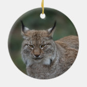 Lynx bekijkt u keramisch ornament (Achterkant)