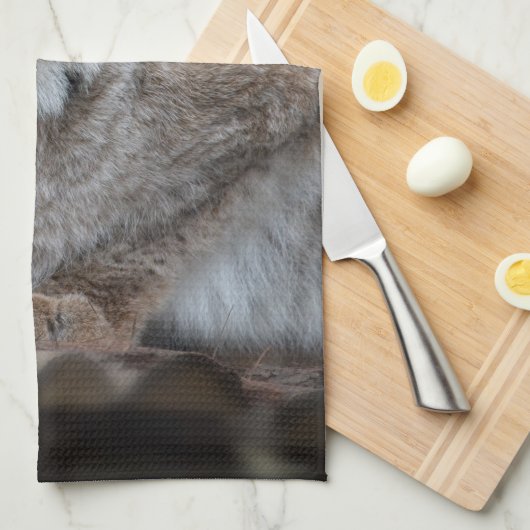 Lynx bekijkt u op uw laptop theedoek (Quarter Fold)