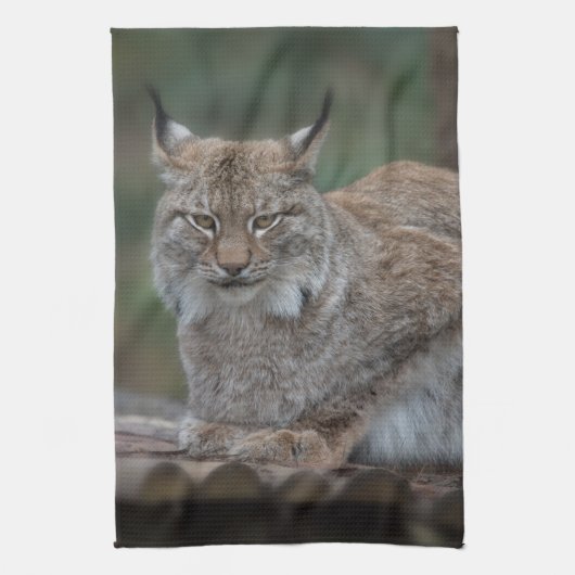Lynx bekijkt u op uw laptop theedoek (Verticaal)