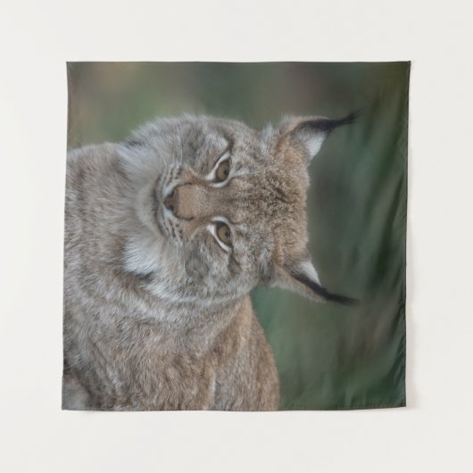 Lynx bekijkt u wandkleed (Voorkant (horizontaal))