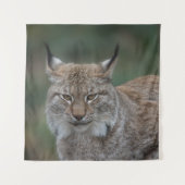 Lynx bekijkt u wandkleed (Voorkant)