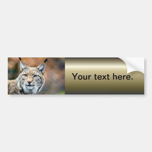 Lynx Bobcat Wilde Roofdier Kat Bumpersticker (Voorkant)
