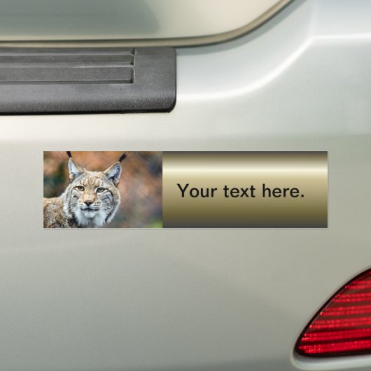 Lynx Bobcat Wildlife Predator Cat Bumpersticker (Op auto)