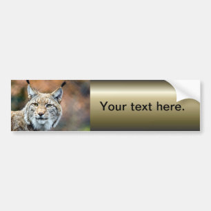 Lynx Bobcat Wildlife Predator Cat Bumpersticker