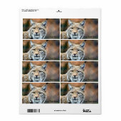 Lynx Bobcat Wildlife Predator Cat Etiket (Full Sheet)