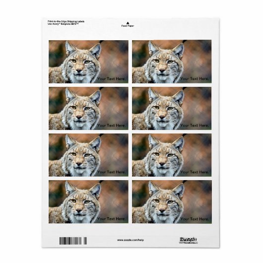 Lynx Bobcat Wildlife Predator Cat Etiket (Full Sheet)