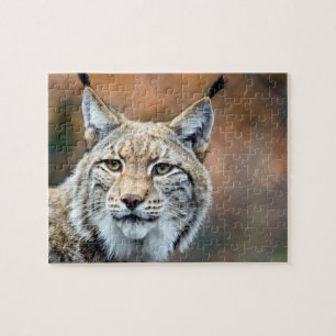 Lynx Bobcat Wildlife Predator Cat Legpuzzel